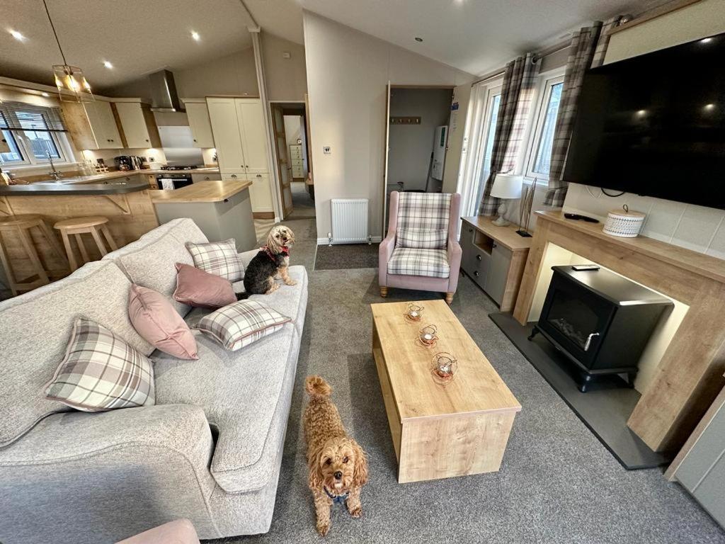 Luxury 3 Bedroom Maple View Lodge, Newquay, Cornwall Appartamento New Quay