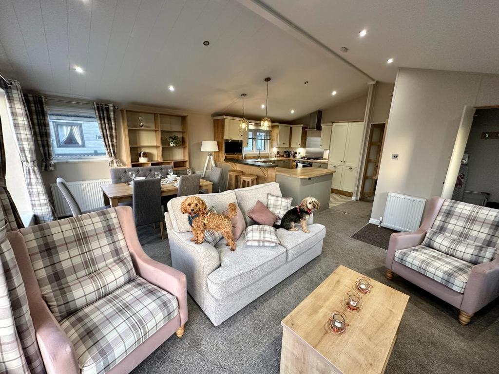 Luxury 3 Bedroom Maple View Lodge, Newquay, Cornwall Newquay (Cornwall)